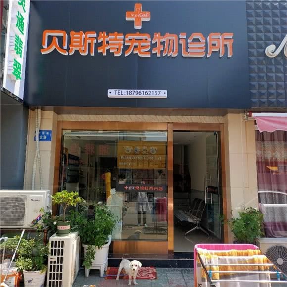 贝斯特宠物医院(旺卡虹西分院)门店环境展示图1 - 南通贝斯特宠物医院(旺卡虹西分院)内部环境实拍